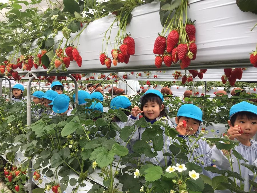 🏞️ 고카츠라 연못 고향 마을(고카츠라이케 후루사토무라) 이미지 7